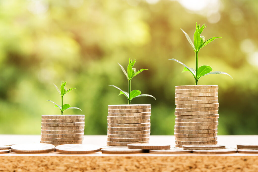 Você já conhece e investe no Tesouro Direto?